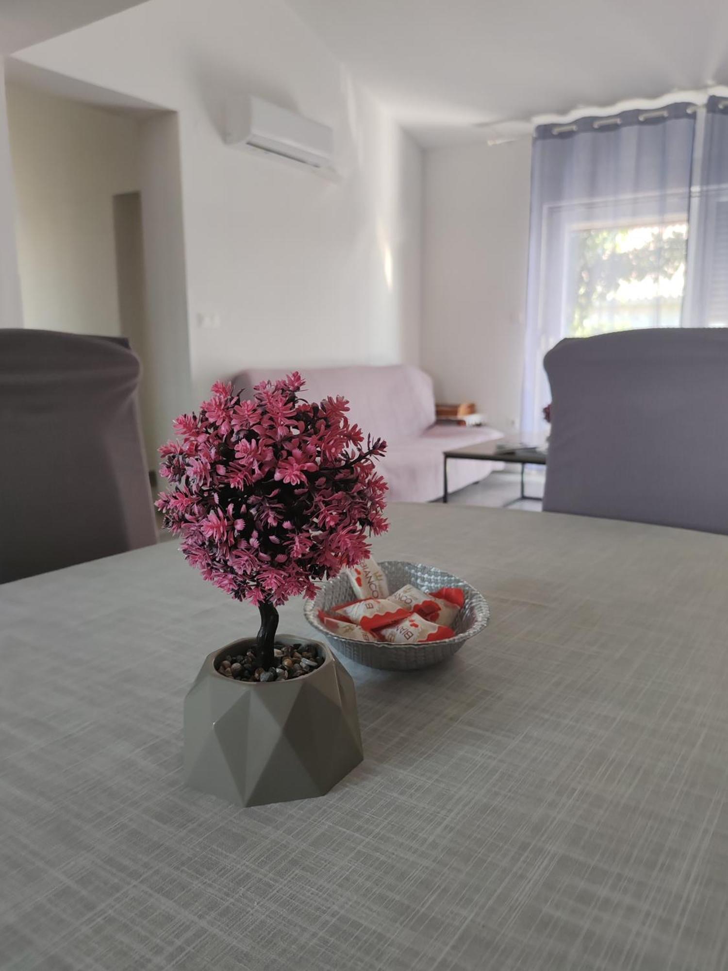 Apartman Olic Ražanac Esterno foto